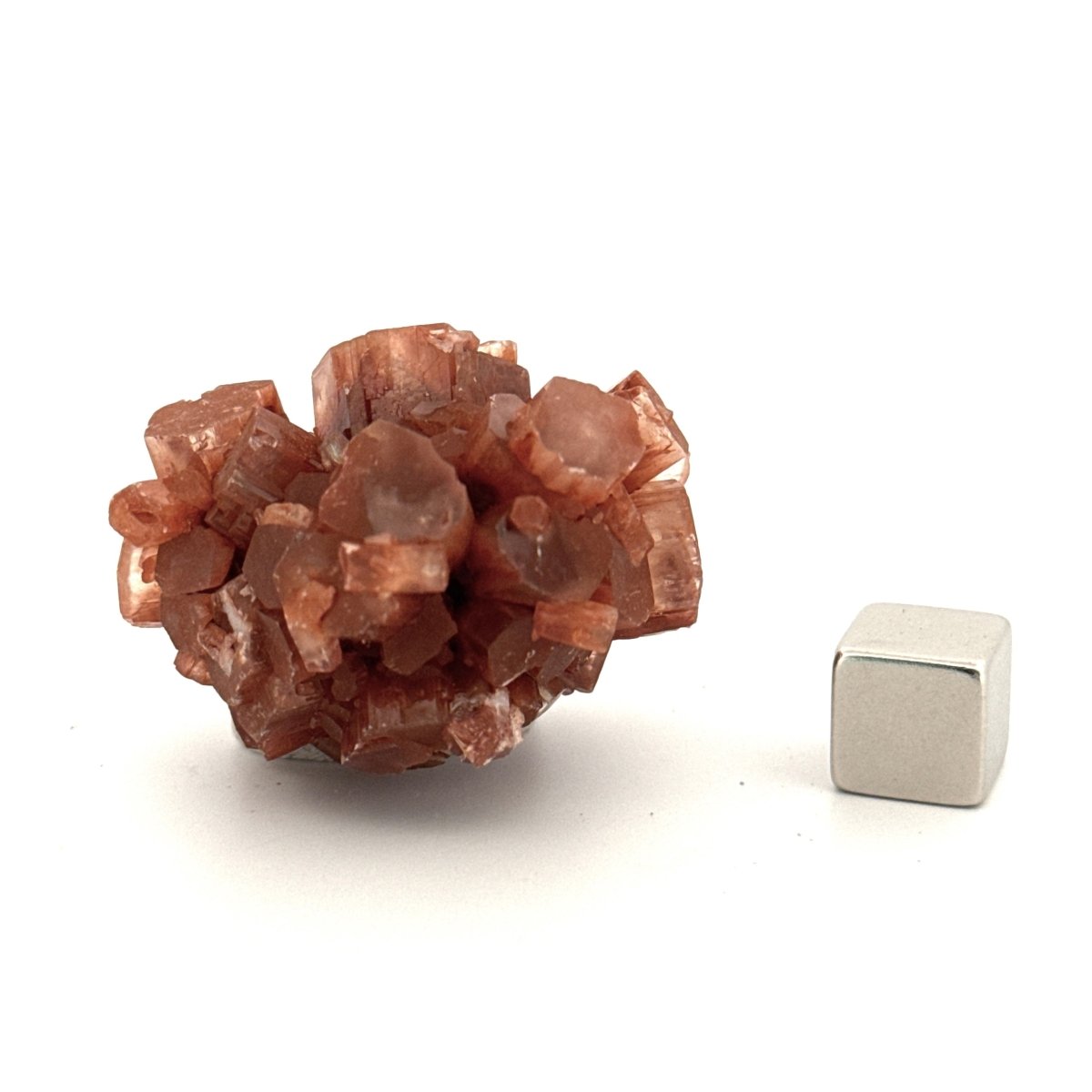 Small Aragonite mineral cluster from Morocco - FossilsAndMore