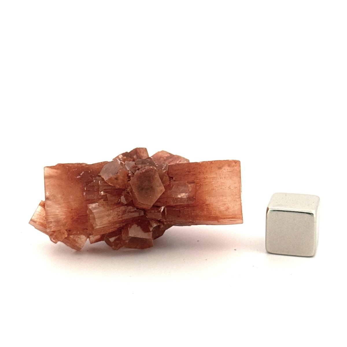 Small Aragonite mineral cluster from Morocco - FossilsAndMore