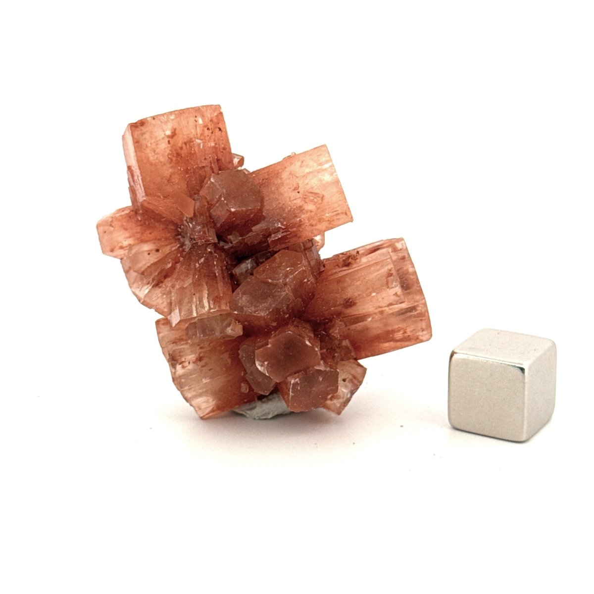 Small Aragonite mineral cluster from Morocco - FossilsAndMore
