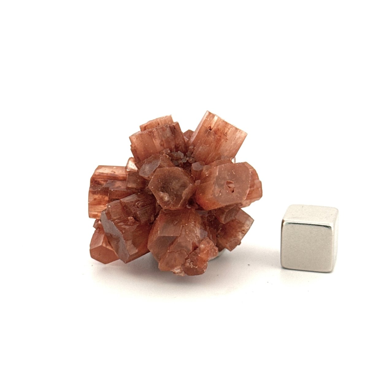 Small Aragonite mineral cluster from Morocco - FossilsAndMore
