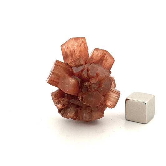 Small Aragonite mineral cluster from Morocco - FossilsAndMore