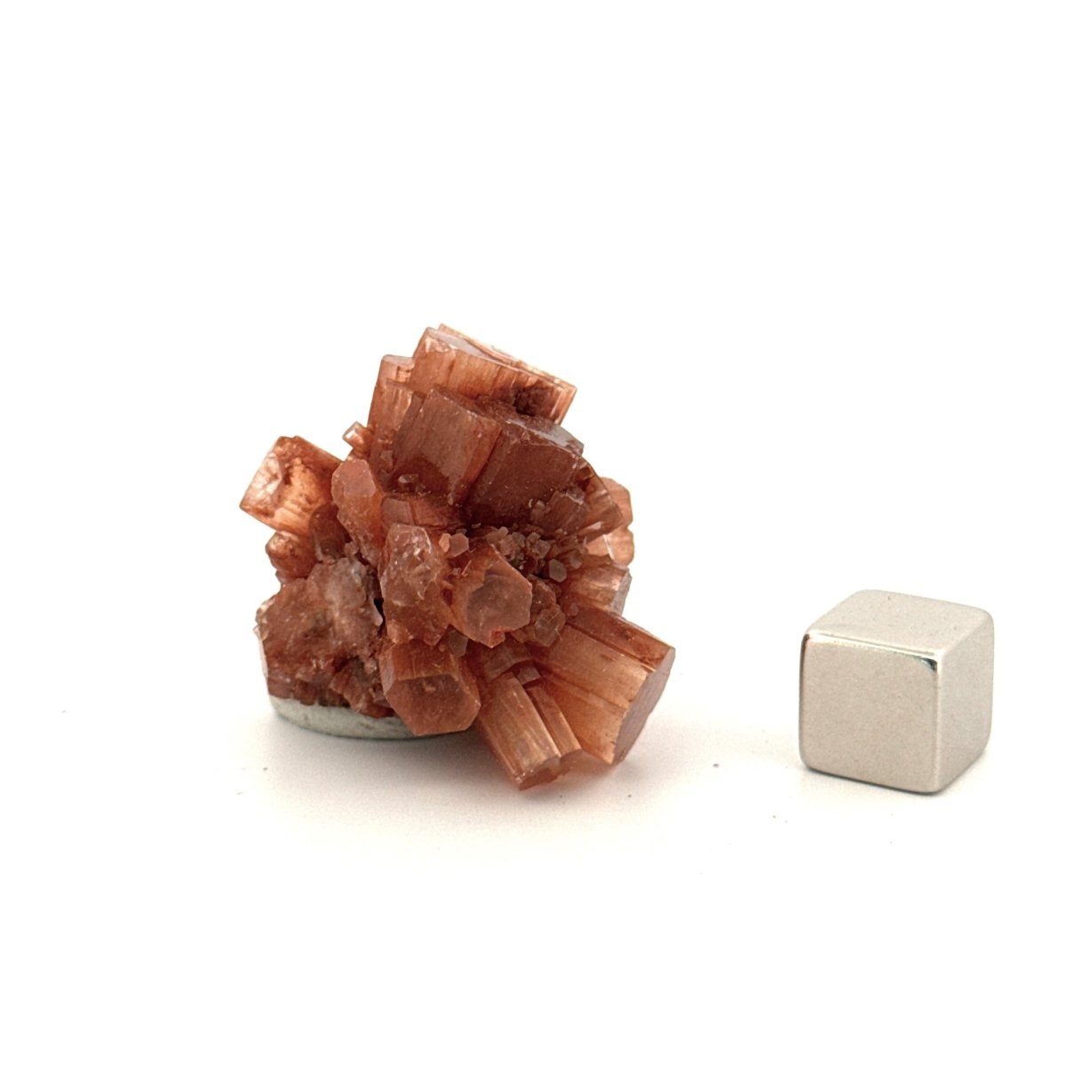 Small Aragonite mineral cluster from Morocco - FossilsAndMore