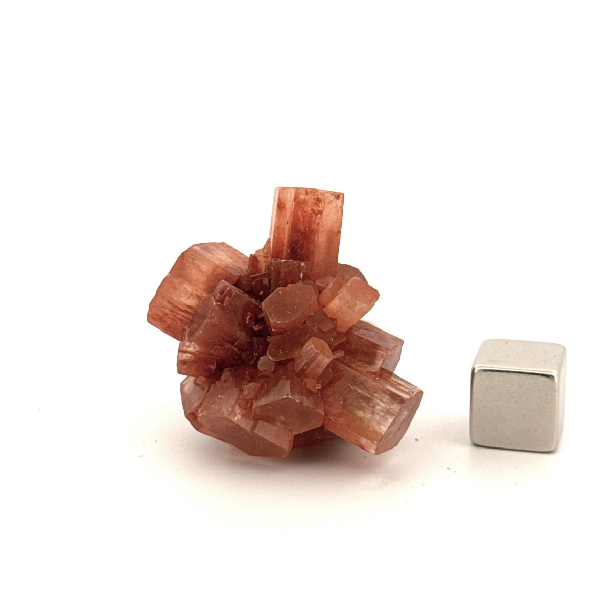 Small Aragonite mineral cluster from Morocco - FossilsAndMore