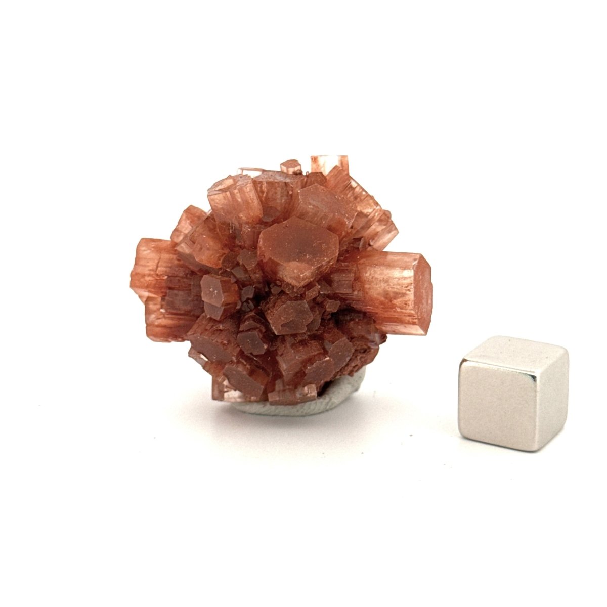 Small Aragonite mineral cluster from Morocco - FossilsAndMore