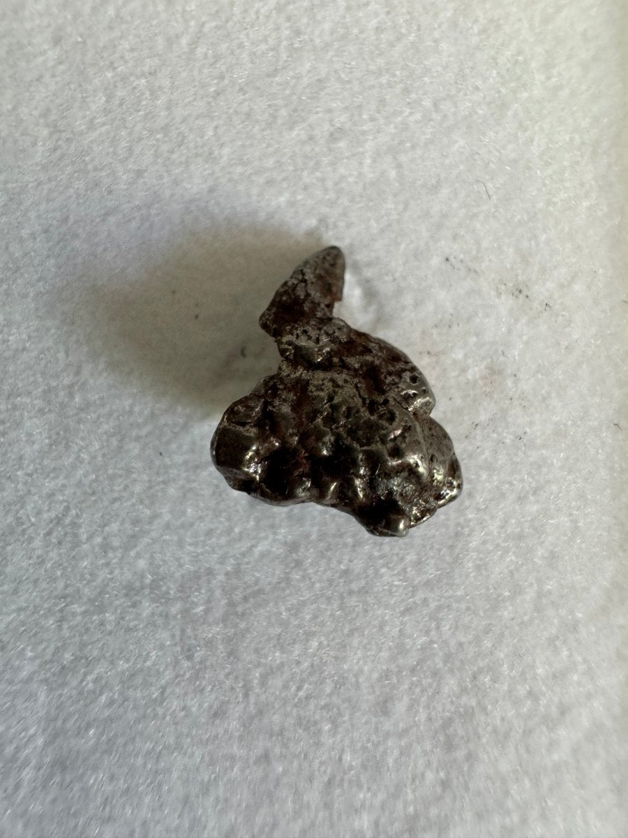 Small Campo del Cielo Meteorite fragment from Argentina - FossilsAndMore