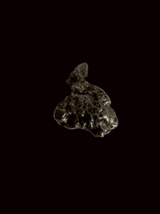 Small Campo del Cielo Meteorite fragment from Argentina - FossilsAndMore