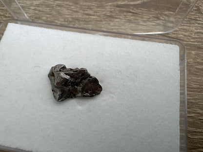 Small Campo del Cielo Meteorite fragment from Argentina - FossilsAndMore