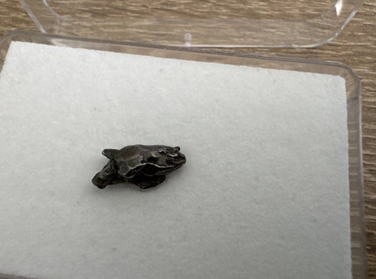 Small Campo del Cielo Meteorite fragment from Argentina - FossilsAndMore