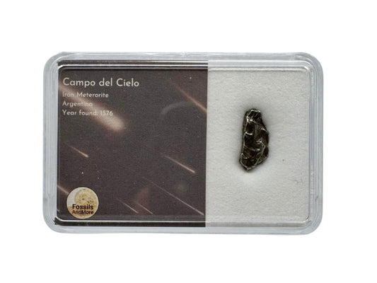 Small Campo del Cielo Meteorite fragment from Argentina in Gift Box - FossilsAndMore