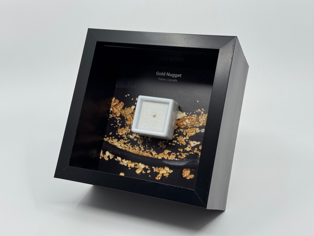 Small Canadian Gold Nugget in Deep Box Frame - FossilsAndMore