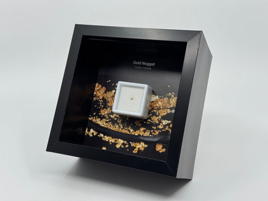 Small Canadian Gold Nugget in Deep Box Frame - FossilsAndMore