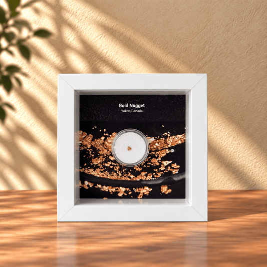 Small Canadian Gold Nugget in Deep Box Frame - FossilsAndMore