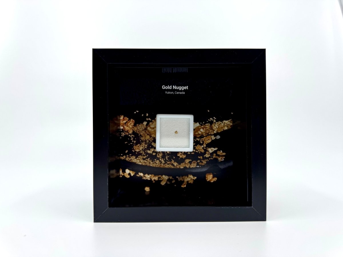 Small Canadian Gold Nugget in Deep Box Frame - FossilsAndMore