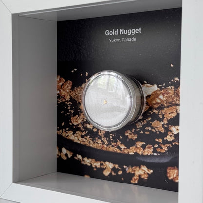 Small Canadian Gold Nugget in Deep Box Frame - FossilsAndMore