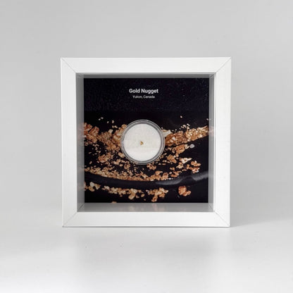 Small Canadian Gold Nugget in Deep Box Frame - FossilsAndMore