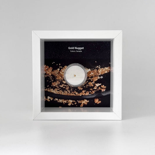 Small Canadian Gold Nugget in Deep Box Frame - FossilsAndMore
