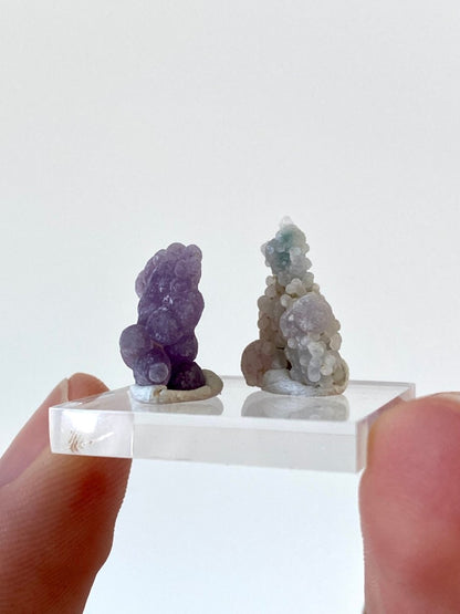 Small Grape Agate clusters from Indonesia, mineral (GA9) - FossilsAndMore