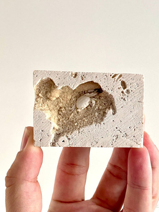 Small Potamon Fossil Crab on Travertine Matrix (0.87") – Pleistocene period, Turkey - FossilsAndMore