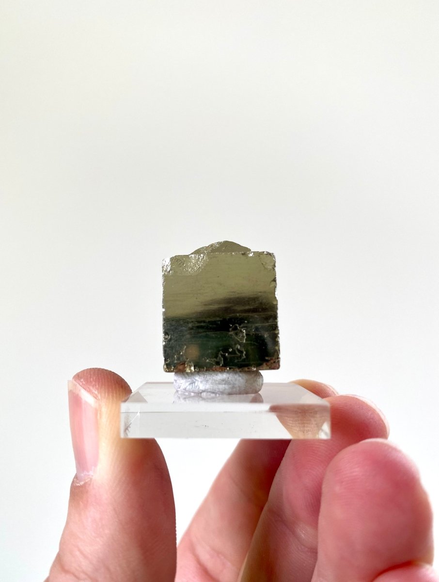 Small Pyrite cube on acrylic plate (Navajun, Spain) - FossilsAndMore