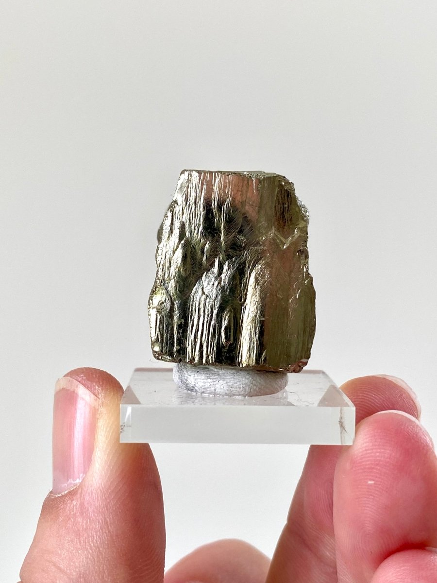 Small Pyrite cube on acrylic plate (Navajun, Spain) - FossilsAndMore