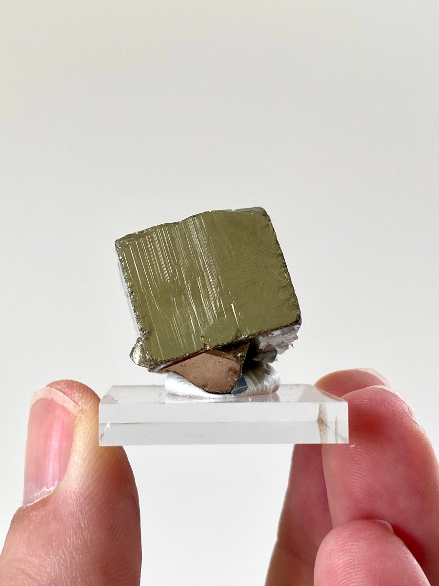 Small Pyrite cube on acrylic plate (Navajun, Spain) - FossilsAndMore