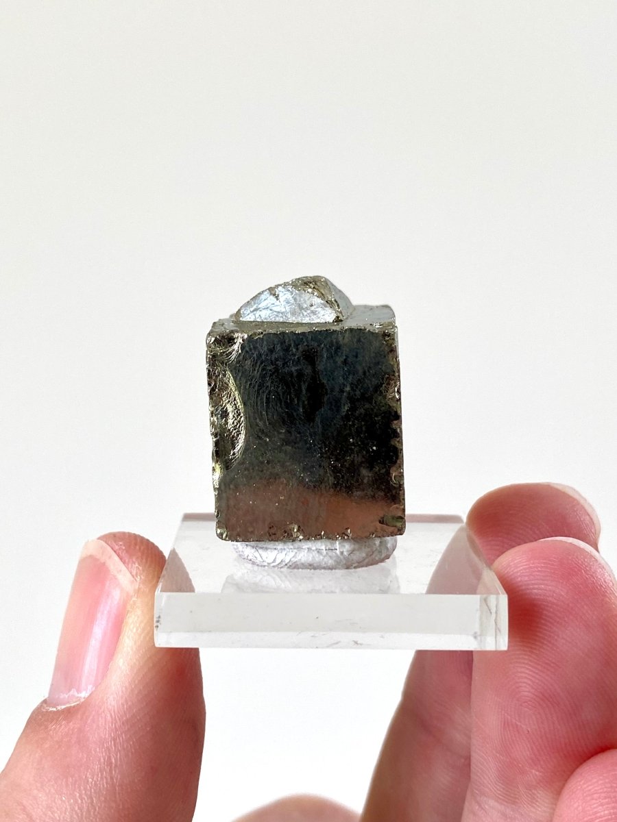 Small Pyrite cube on acrylic plate (Navajun, Spain) - FossilsAndMore