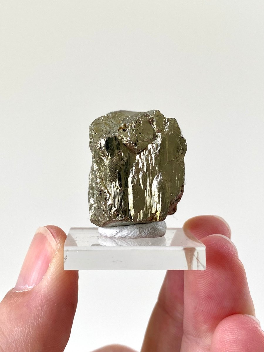 Small Pyrite cube on acrylic plate (Navajun, Spain) - FossilsAndMore