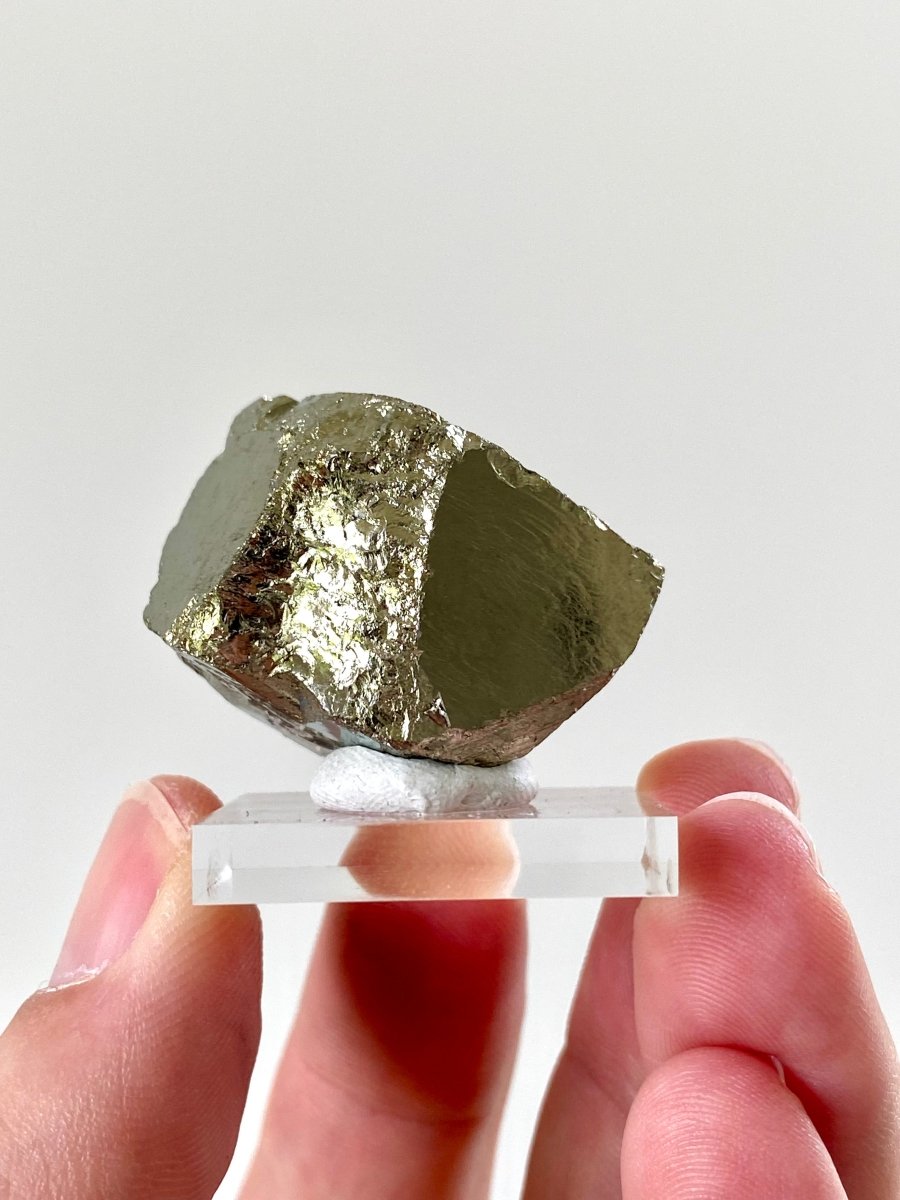 Small Pyrite cube on acrylic plate (Navajun, Spain) - FossilsAndMore