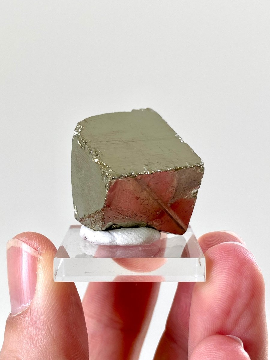 Small Pyrite cube on acrylic plate (Navajun, Spain) - FossilsAndMore