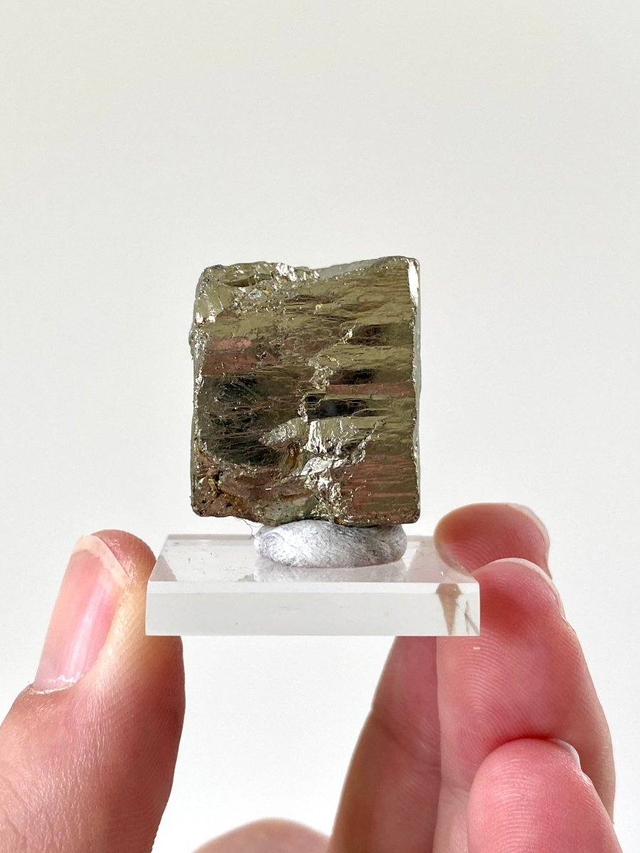 Small Pyrite cube on acrylic plate (Navajun, Spain) - FossilsAndMore