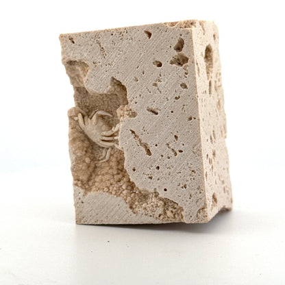 Small upside - down Potamon Fossil Crab on Travertine Matrix (0.70") from Pleistocene period, Turkey - FossilsAndMore