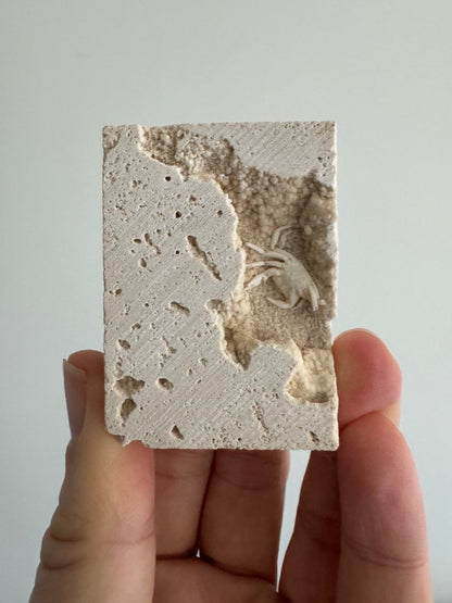 Small upside - down Potamon Fossil Crab on Travertine Matrix (0.70") from Pleistocene period, Turkey - FossilsAndMore