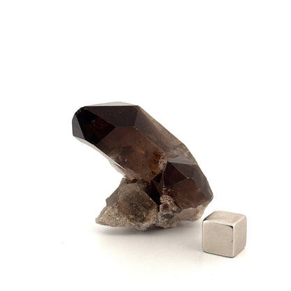 Smoky Quartz crystal (39 Grams) from Brazil - FossilsAndMore