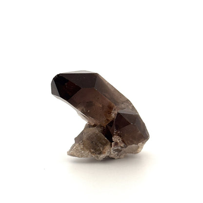 Smoky Quartz crystal (39 Grams) from Brazil - FossilsAndMore