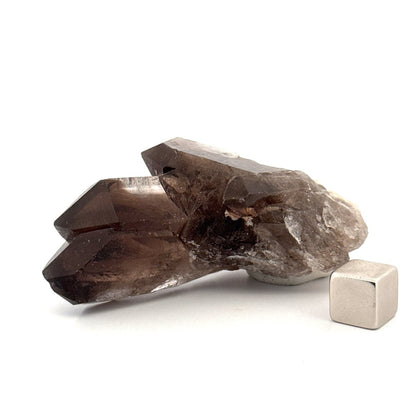 Smoky Quartz crystal (61 Grams) from Brazil - FossilsAndMore