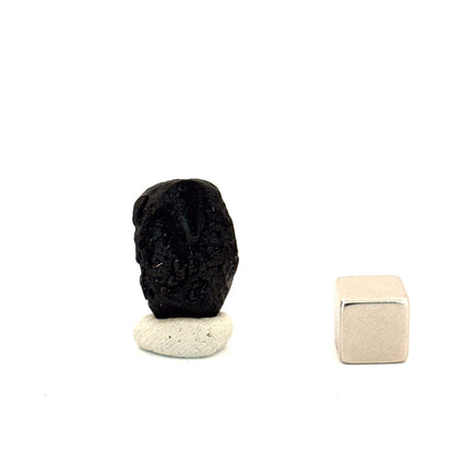 Tektite formed by a meteorite impact - Laos - FossilsAndMore