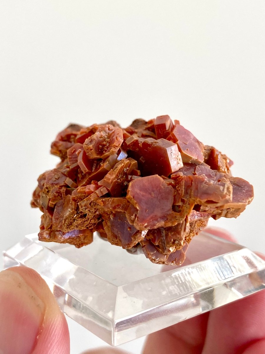 Vanadinite cluster, mineral from Morocco - FossilsAndMore