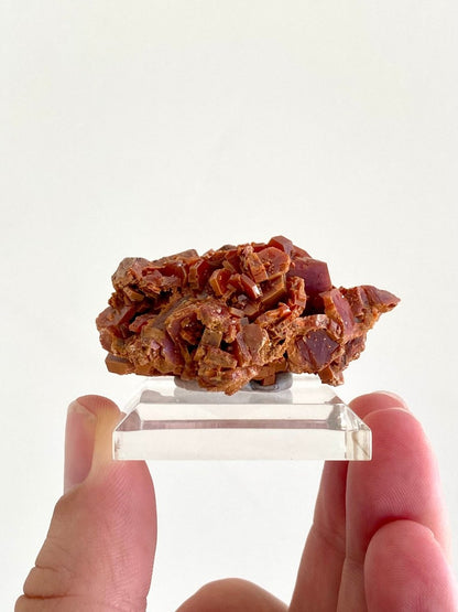 Vanadinite cluster, mineral from Morocco - FossilsAndMore