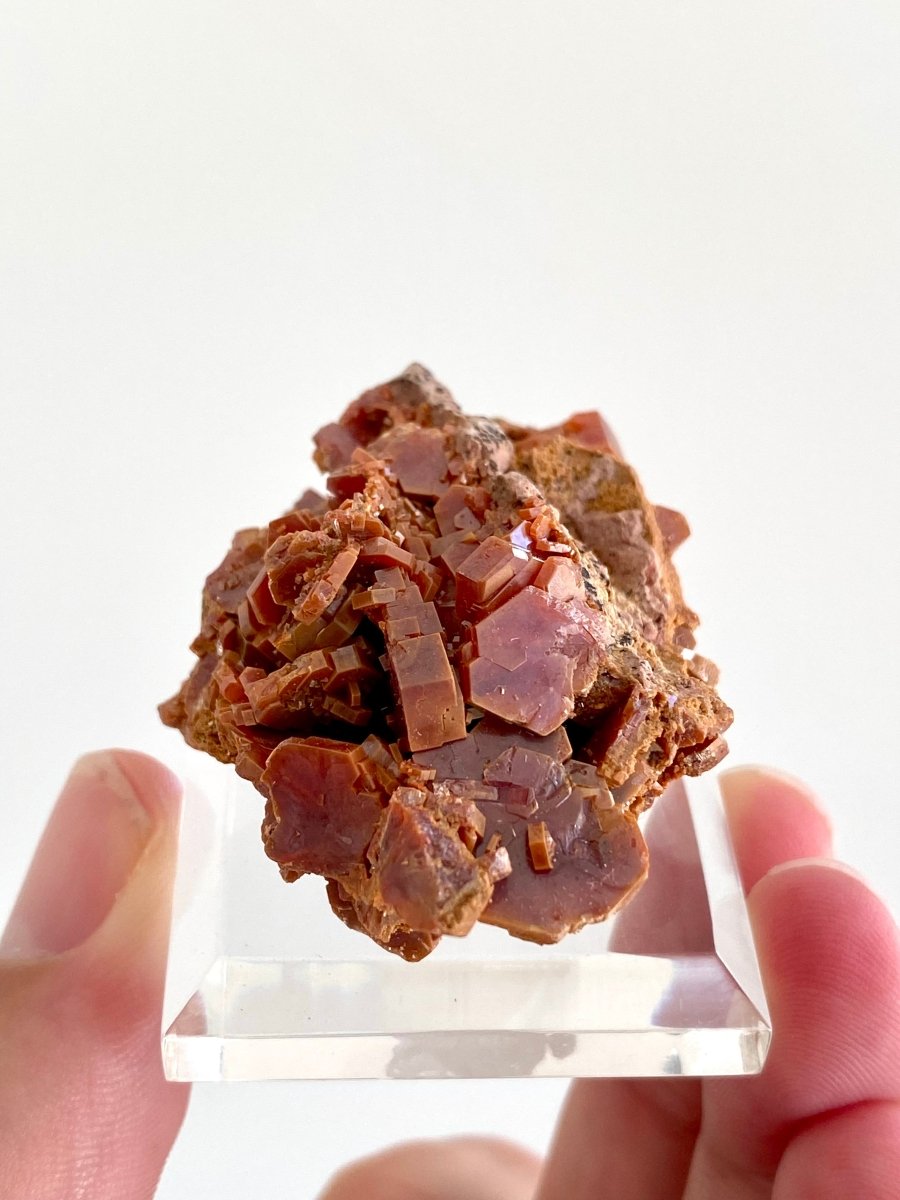 Vanadinite cluster, mineral from Morocco - FossilsAndMore