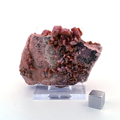 Vanadinite mineral cluster (139 Grams) from Mibladen, Morocco - FossilsAndMore