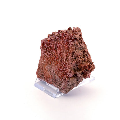 Vanadinite mineral cluster (225 Grams) from Mibladen, Morocco - FossilsAndMore