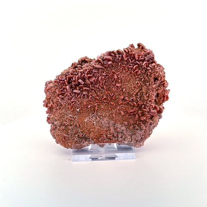 Vanadinite mineral cluster (225 Grams) from Mibladen, Morocco - FossilsAndMore