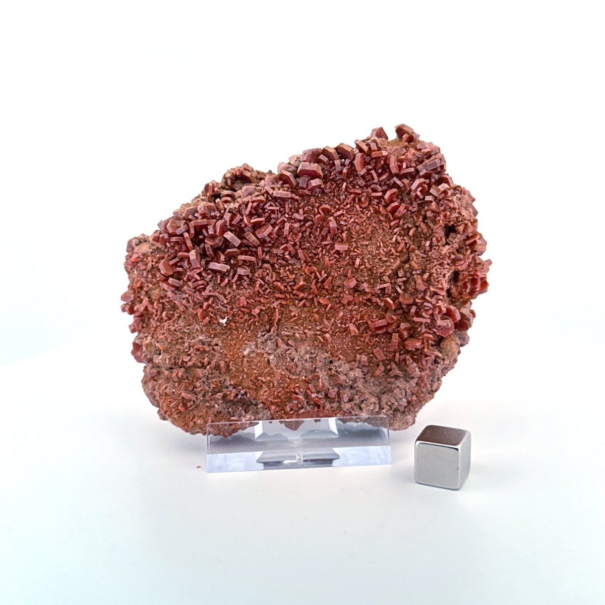 Vanadinite mineral cluster (225 Grams) from Mibladen, Morocco - FossilsAndMore