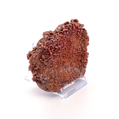 Vanadinite mineral cluster (225 Grams) from Mibladen, Morocco - FossilsAndMore