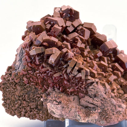 Vanadinite mineral cluster (255 Grams) from Mibladen, Morocco - FossilsAndMore
