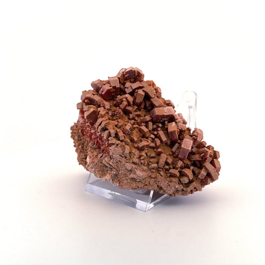 Vanadinite mineral cluster (255 Grams) from Mibladen, Morocco - FossilsAndMore