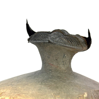 Zlichovaspis Trilobite Fossil (3.39") – Devonian Period, Morocco - FossilsAndMore