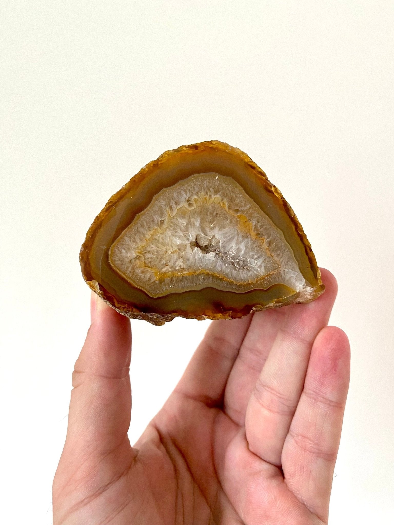 Agate Geode - FossilsAndMore