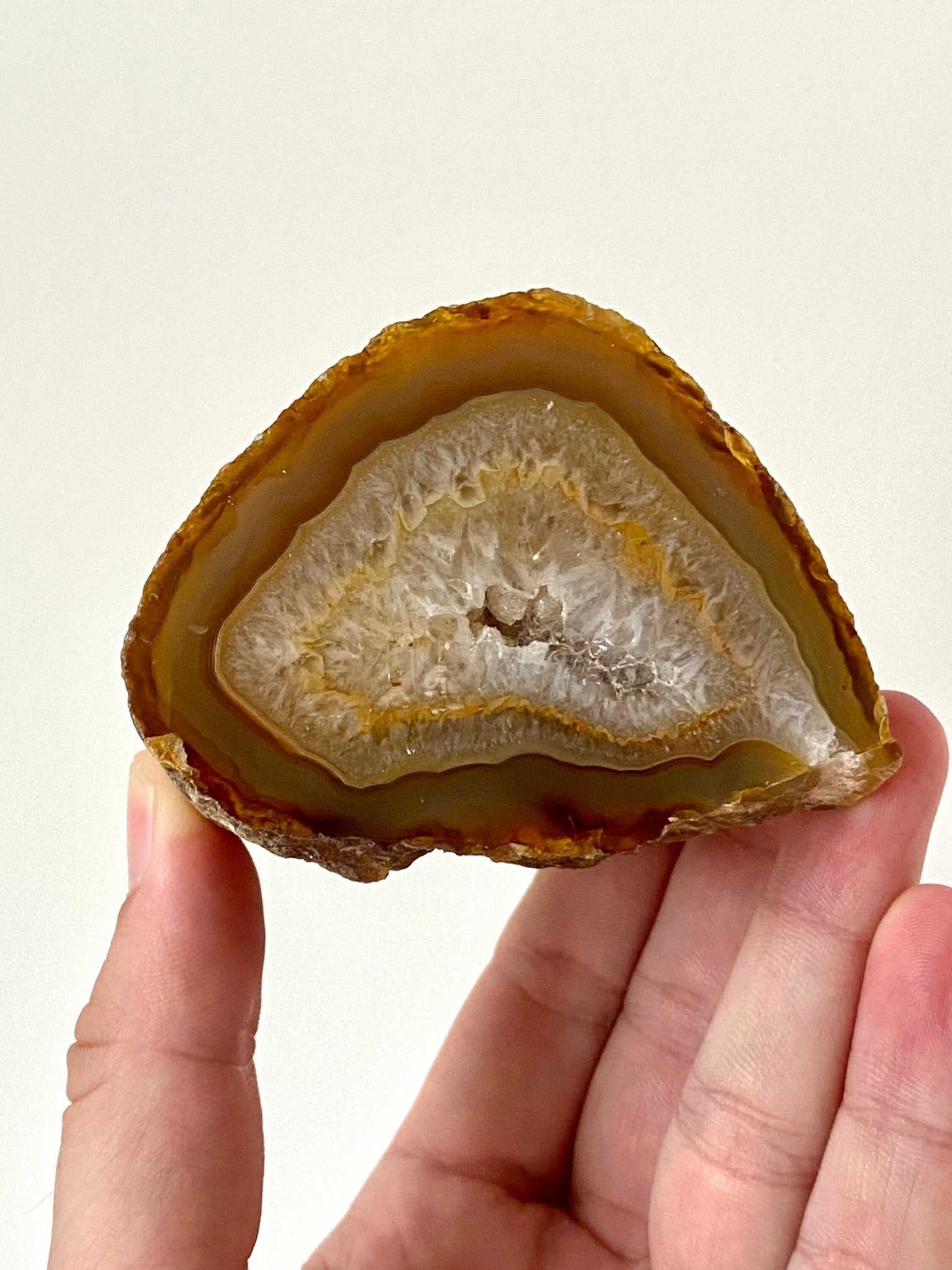 Agate Geode - FossilsAndMore