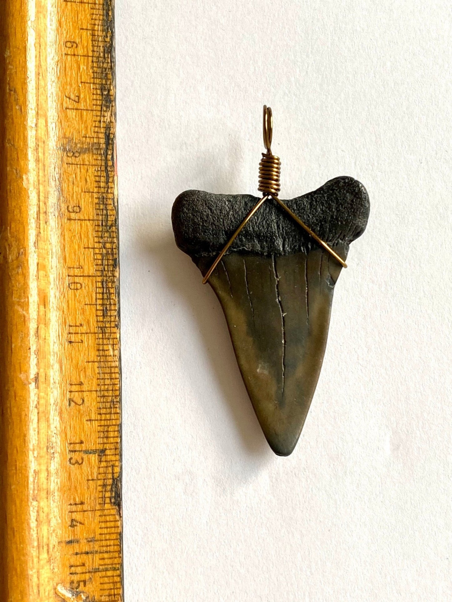 Mako shark fossil tooth pendant - FossilsAndMore